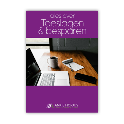 Werkboek Alles over Toeslagen & Besparen (e-book versie)